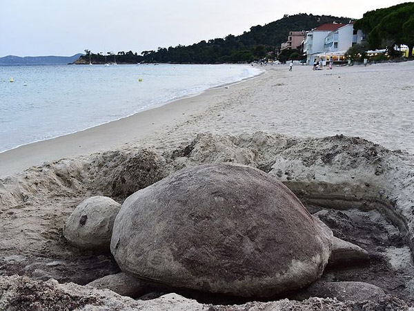 Plage de Cavalière, le Lavandou - Crédit photo : Ladislaus Hoffner (Wikimedia Commons)