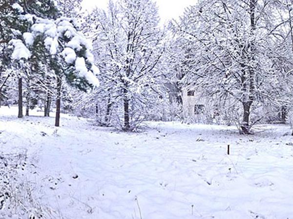 Finlande sous la neige - Crédit photo : Aavee (Wikimedia Commons)